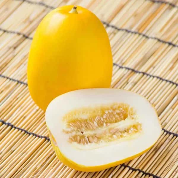 【和製メロン】ほんのり上品な甘味　オーガニックマクワウリ