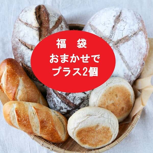 【限定福袋】【２個増量 】信州産小麦パンセット-自家製レーズン酵母とホシノ天然酵母使用-（発送不可地域あります）