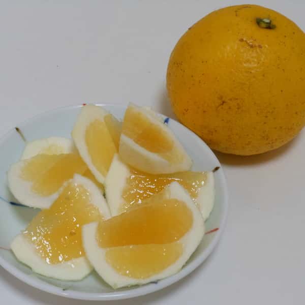 ニューサマーオレンジ　 自然栽培（農薬不使用・化学肥料不使用・除草剤不使用）