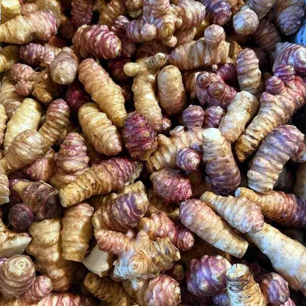 堀りたて！自然栽培の紫菊芋（フランス菊芋）土付き