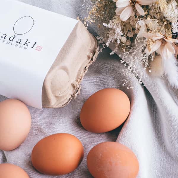 【大寒卵】放牧鶏「暖鷄」の大寒卵(12個)化粧箱入