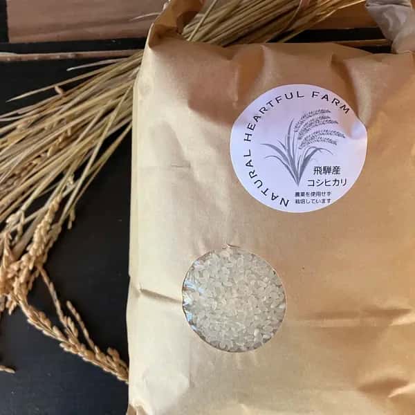 農薬・肥料不使用の自然栽培米＜奥飛騨産こしひかり＞ハザがけ天日干し
