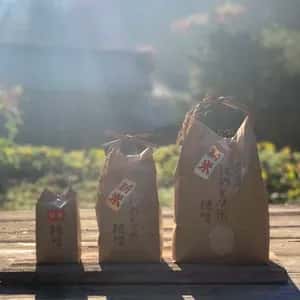 【令和7年度】阿蘇立岩水源の湧水×天日干し自然栽培米＜熊本在来米 穂増＞農薬・化学肥料不使用