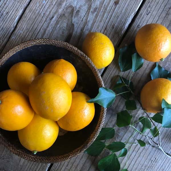 フルーティーな香りと味わい！マイヤーレモン1kg