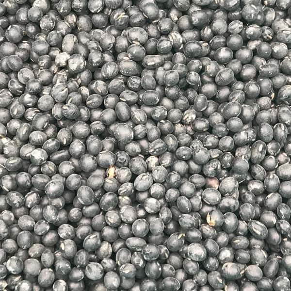 黒大豆（黒豆）【無農薬・無肥料 自然栽培 天日干し】
