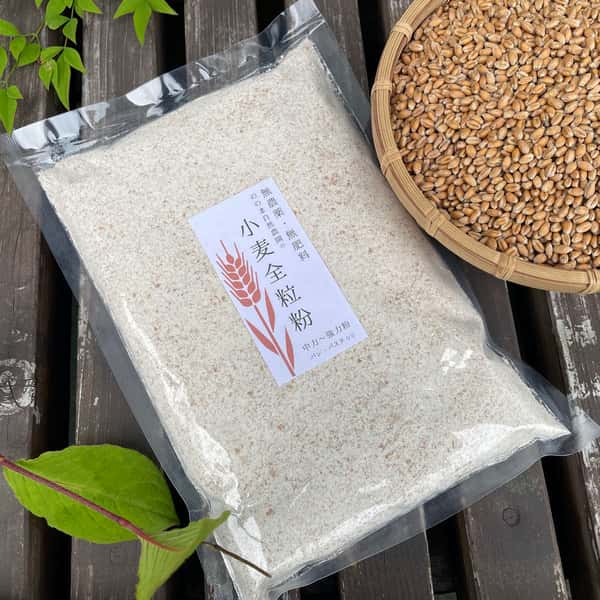 小麦全粒粉【無農薬・無肥料・天日干し・石臼挽き】