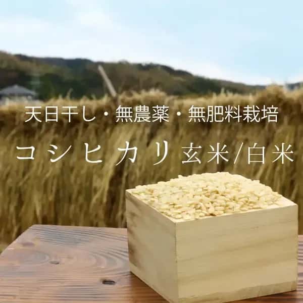 令和7年度産＜コシヒカリ＞白米/玄米【無農薬・無肥料・天日干し】