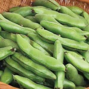 【5月限定！旬の味！無農薬・無肥料】そら豆