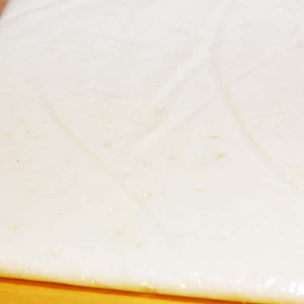 《年末予約》しろいもちのし餅【天日干し・無農薬・無肥料のお米】