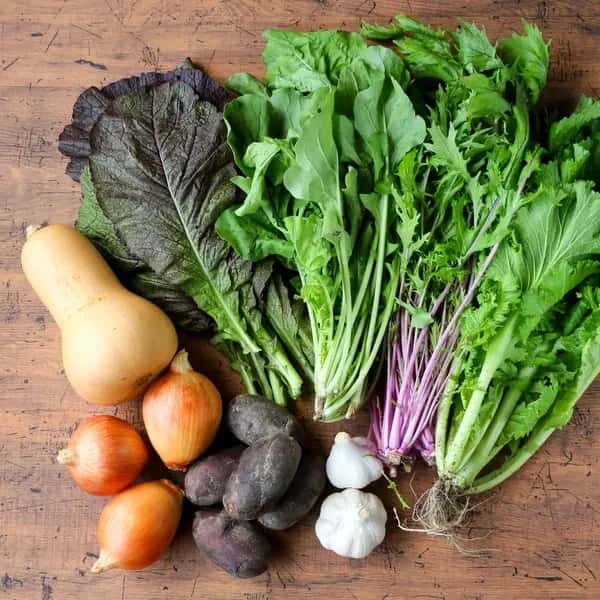 農薬・化学肥料不使用＜季節のおまかせ野菜セット＞大分県耶馬渓の自然の恵みで命をつなぐ固定種入り