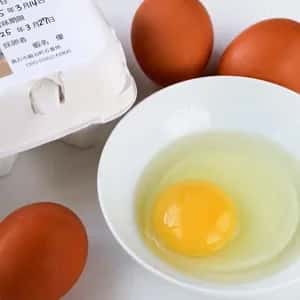 青森・津軽の平飼い卵「りんごのたまご」りんごの発酵飼料で育てた自然卵