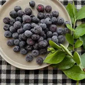  商品名 【2026年産予約】完熟で風味豊か！冷凍ブルーベリー400g×3p【栽培期間中農薬・化学肥料・除草剤不使用】