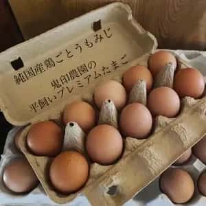 純国産鶏もみじの放し飼いプレミアムたまご