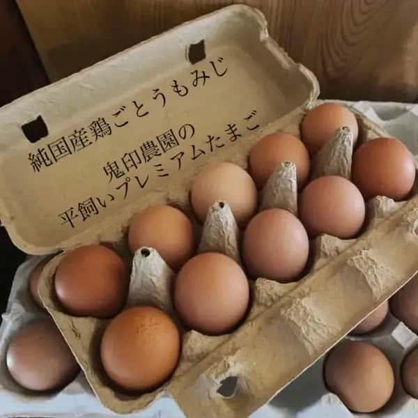 純国産鶏もみじの放し飼いプレミアムたまご