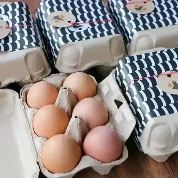 優秀賞を受賞した　北海道の純国産鶏平飼い自然卵「おのたま」