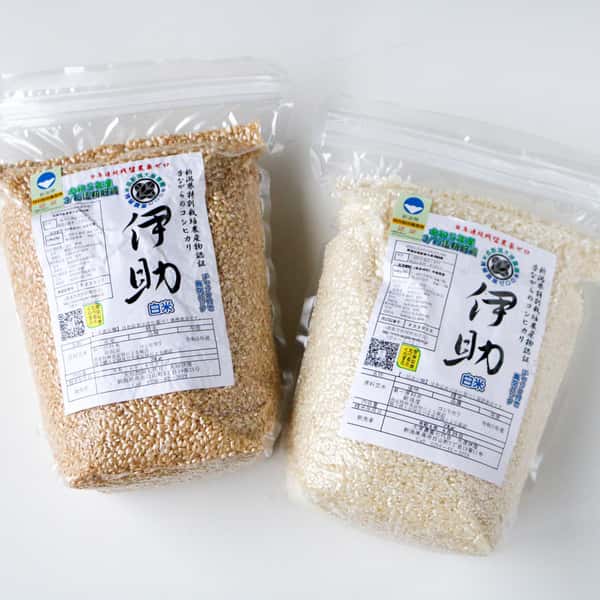 【7年産予約】令和7年度産＜新潟産コシヒカリ＞真空パック（選べる精米　玄米/白米/分づき米）2015年より連続残留農薬検出ゼロ継続中