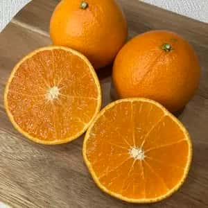 【愛媛県オリジナル品種】農薬・化学肥料不使用のプリンセス＜有機JAS認証＞ 手作り有機肥料で育てたプルプル食感の柑橘