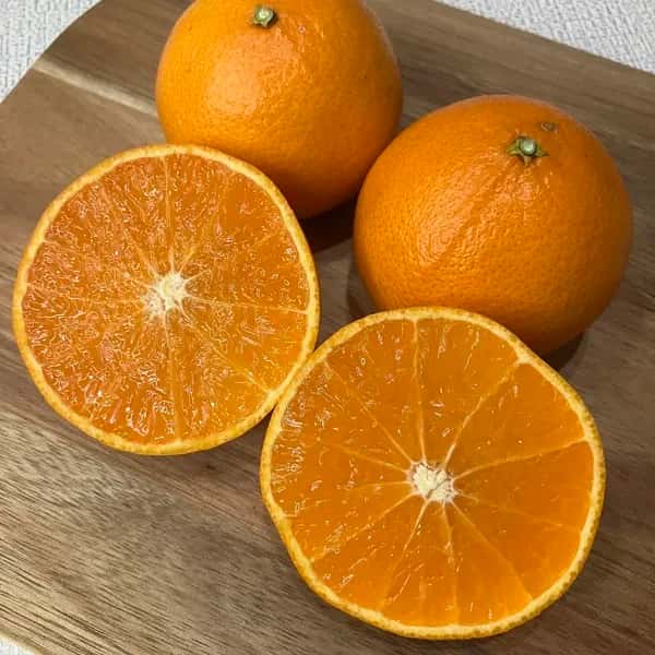 【愛媛県オリジナル品種】農薬・化学肥料不使用のプリンセス＜有機JAS認証＞ 手作り有機肥料で育てたプルプル食感の柑橘