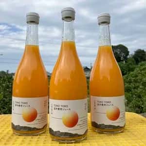 愛媛県産オーガニック温州みかん100%使用ストレートジュース 720ml 3本セット