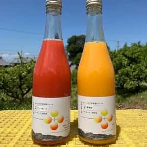 愛媛県産オーガニック柑橘100%使用ストレートジュース 500ml 2本セット