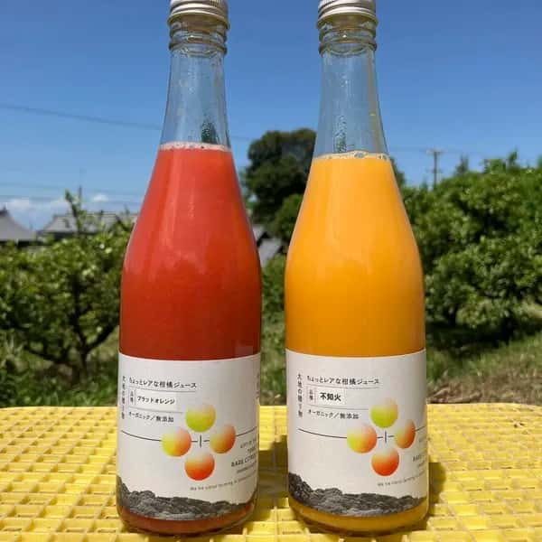 愛媛県産オーガニック柑橘100%使用ストレートジュース 500ml 2本セット