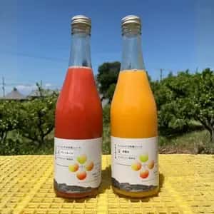 愛媛県産オーガニック柑橘100%使用ストレートジュース 500ml 2本セット