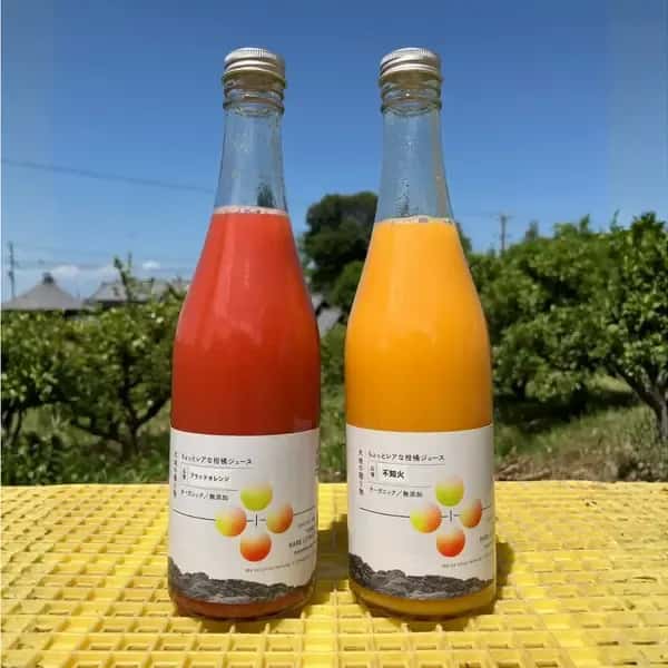 愛媛県産オーガニック柑橘100%使用ストレートジュース 500ml 2本セット