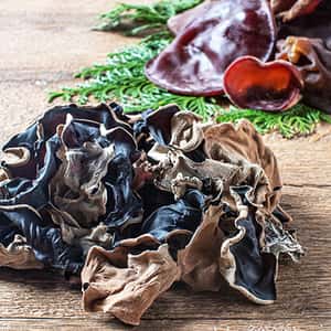 親子で作る「こりこりきくらげ」無農薬