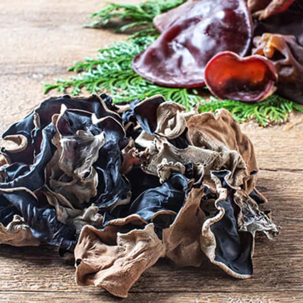 親子で作る「こりこりきくらげ」無農薬