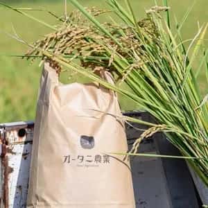 岐阜県産＜いのちの壱＞農薬・化学肥料不使用