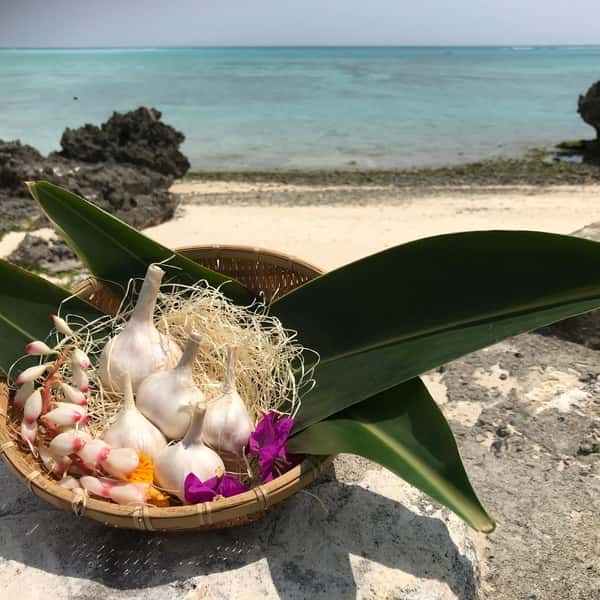 与論のミネラルたっぷり！星砂にんにく《小粒鱗片フリーサイズ》