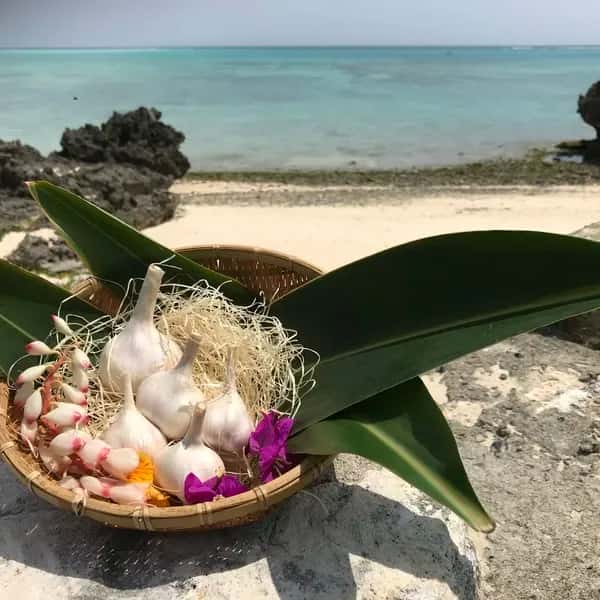 与論のミネラルたっぷり！星砂にんにく《小粒フリーサイズ》