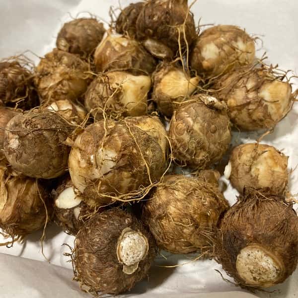 与論のミネラルたっぷり！有機里芋（きぬかつぎ）