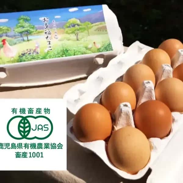 オーガニック放し飼い卵「お多福たまご」10個入＜有機鶏卵・走る鶏の放牧卵＞【内祝・贈答・ギフト対応】