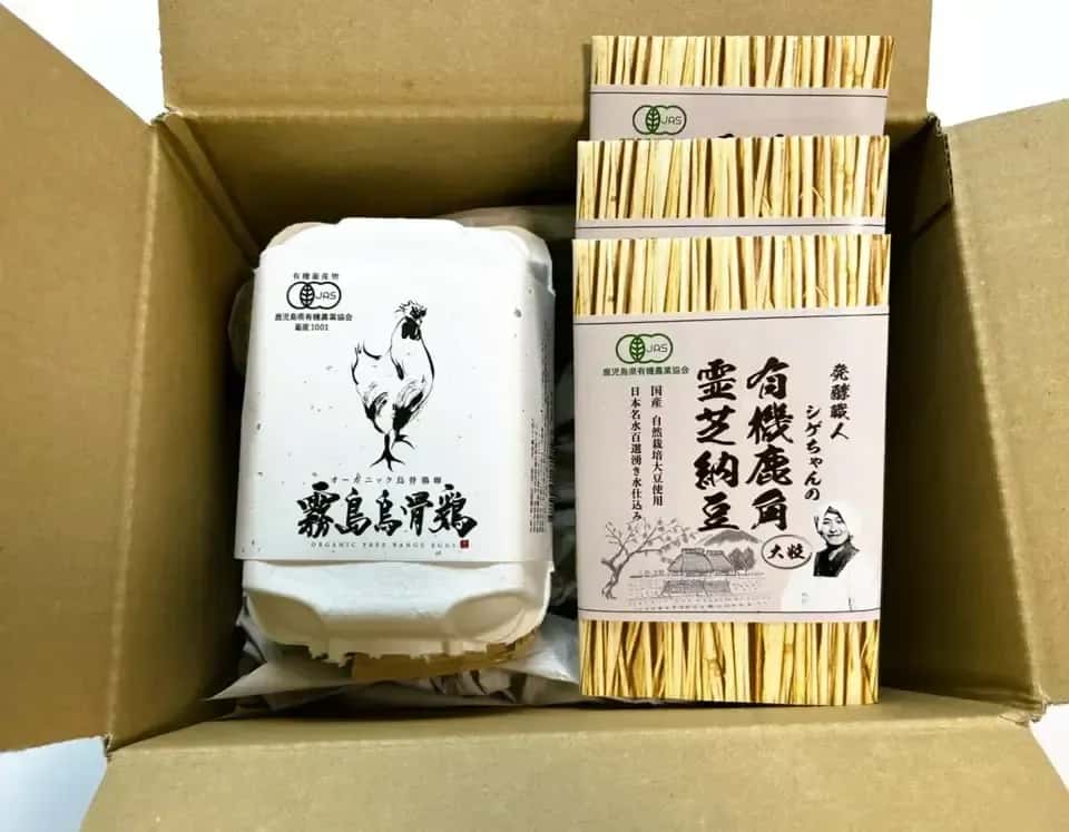 快気・お見舞いお返し 背景
