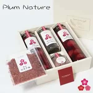 保存料・着色料・化学調味料不使用＜梅の恵みギフトセット＞郡上の自然を贈る手しごとの味