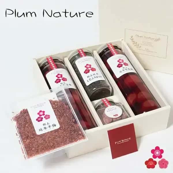 保存料・着色料・化学調味料不使用＜梅の恵みギフトセット＞郡上の自然を贈る手しごとの味