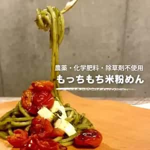 【無農薬･無化学肥料・除草剤フリー】もっちもち グルテンフリー麺　米粉めん