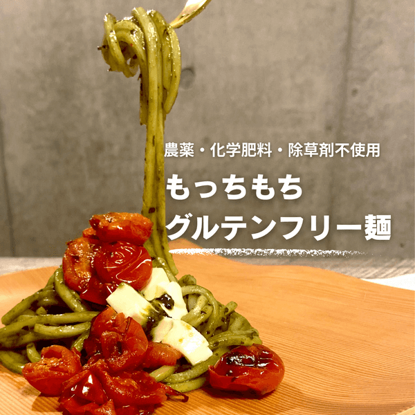 【無農薬･無化学肥料・除草剤フリー】もっちもち グルテンフリー麺　米粉めん