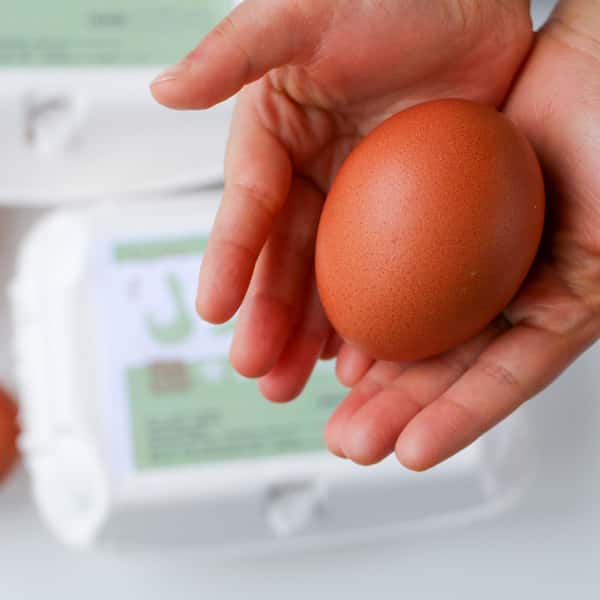 ＜平飼いのんびり卵＞おからや米粉など自家配合飼料で自然養鶏