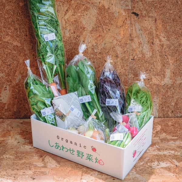 旨みと甘みの強い露地栽培＜旬の有機野菜セット＞農薬化学肥料不使用・静岡県産