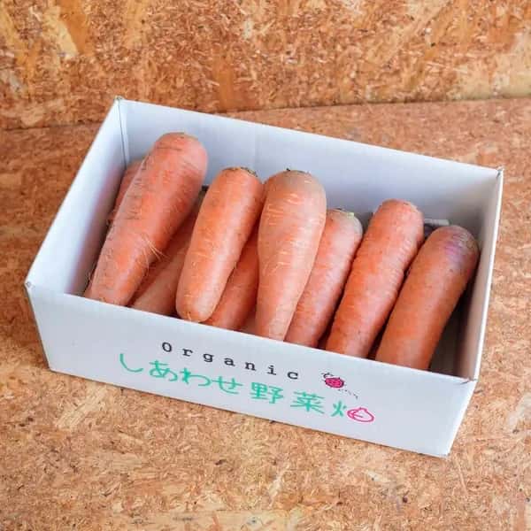 ＜旬のにんじんセット 4.5kg＞農薬化学肥料不使用・静岡県産 