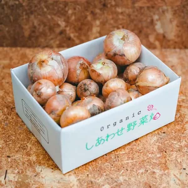 ＜有機たまねぎ 3kg＞農薬化学肥料不使用・静岡県産 