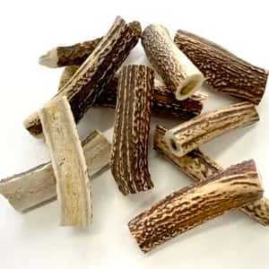 PET用ストレス解消ペットフード［本州鹿の角］Honshu Deer Antlers 