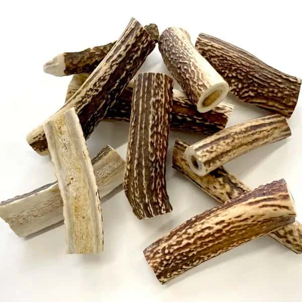 PET用ストレス解消ペットフード［本州鹿の角］Honshu Deer Antlers 