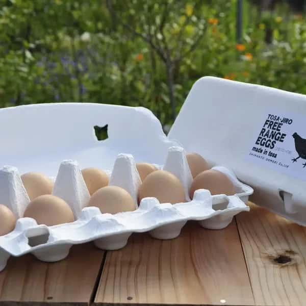 土佐ジローのたまご【放飼い有精卵】