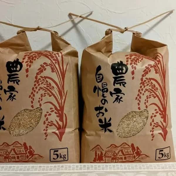 【R7年度産】白川の美米｜熊本阿蘇 筑後川源流で育む自然栽培米｜農薬・肥料・除草剤一切不使用｜森のくまさん