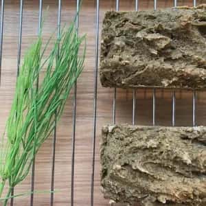 『白ほたる豆腐店の手作りヴィーガン冷凍焼き菓子(グルテン・シュガーフリー)』単品/セット有