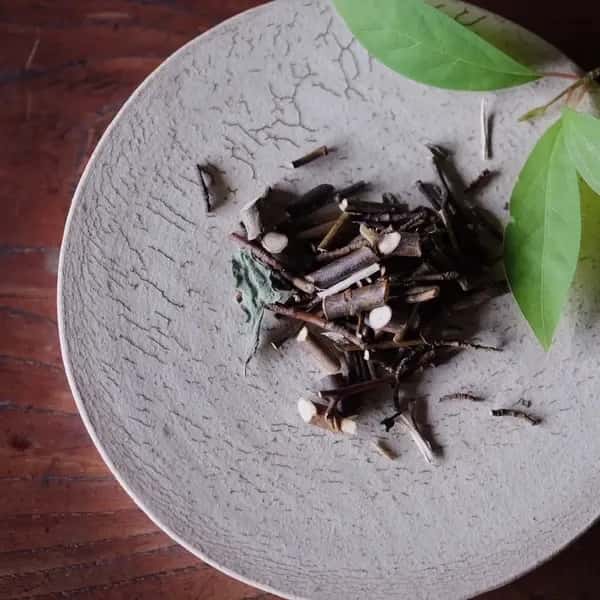 クロモジ茶