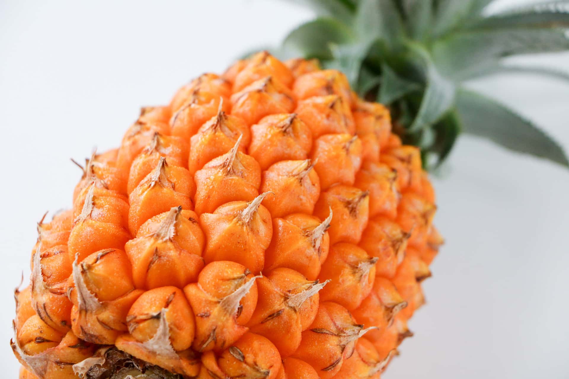 パイナップル 背景